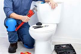 Toilet pot blockage removal