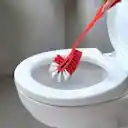 Classic bathroom cleaning