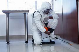Kitchen & Bathroom Pest Control